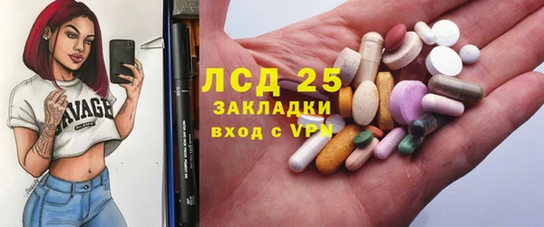 гидра Липки
