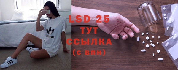 стаф Рыльск