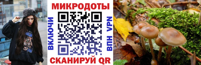 Галлюциногенные грибы прущие грибы Строитель